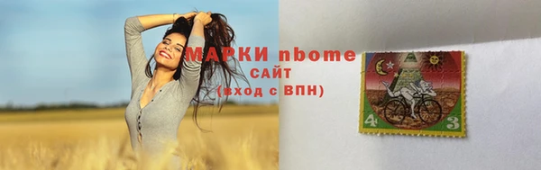 прущие грибы Белоозёрский