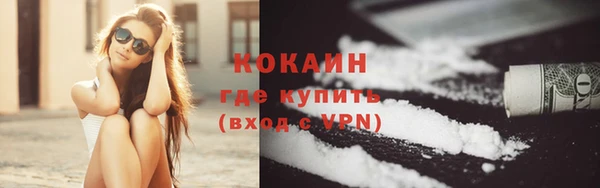 прущие грибы Белоозёрский