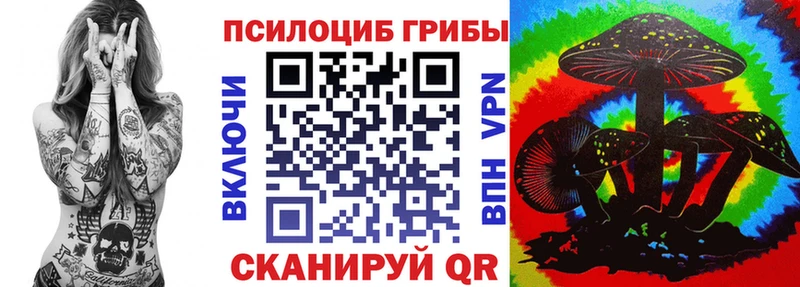 Псилоцибиновые грибы прущие грибы  Тосно 